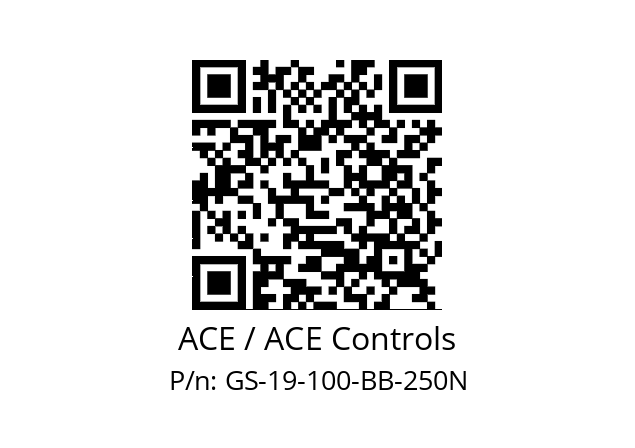   ACE / ACE Controls GS-19-100-BB-250N