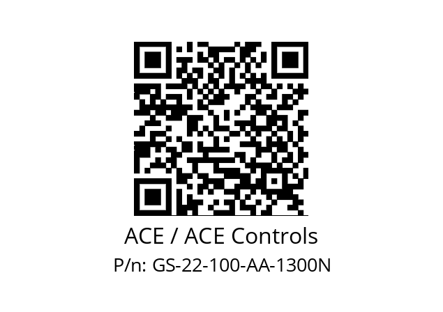   ACE / ACE Controls GS-22-100-AA-1300N