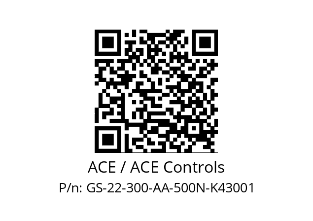   ACE / ACE Controls GS-22-300-AA-500N-K43001