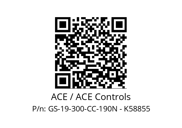   ACE / ACE Controls GS-19-300-CC-190N - K58855