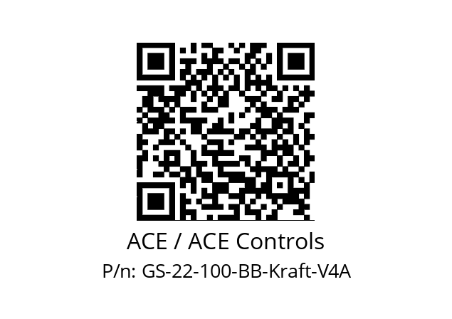   ACE / ACE Controls GS-22-100-BB-Kraft-V4A