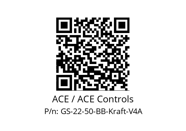   ACE / ACE Controls GS-22-50-BB-Kraft-V4A