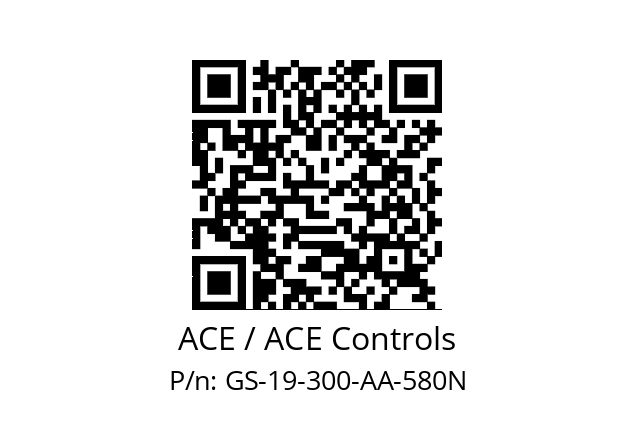   ACE / ACE Controls GS-19-300-AA-580N