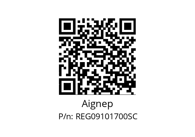   Aignep REG09101700SC