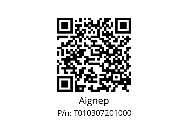   Aignep T010307201000