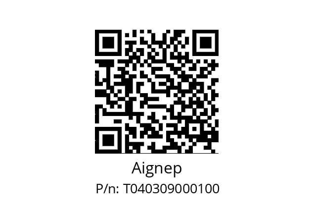   Aignep T040309000100