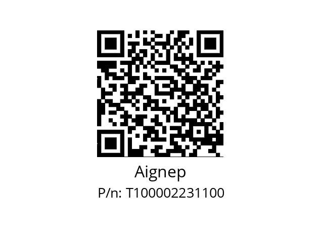   Aignep T100002231100