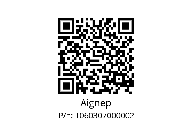   Aignep T060307000002