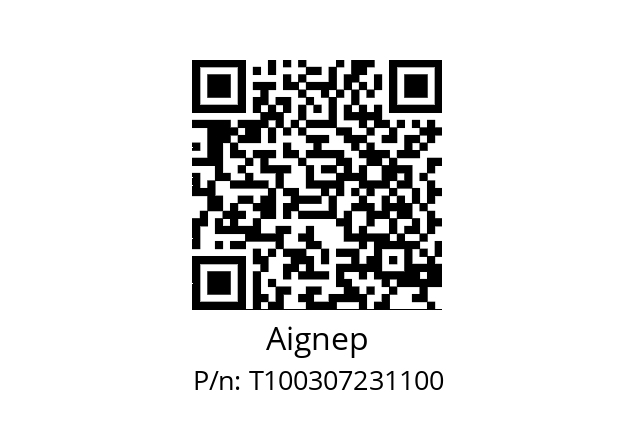   Aignep T100307231100