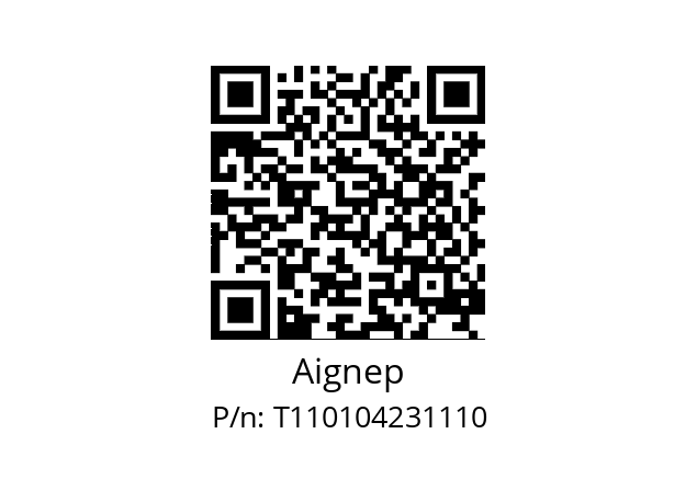   Aignep T110104231110