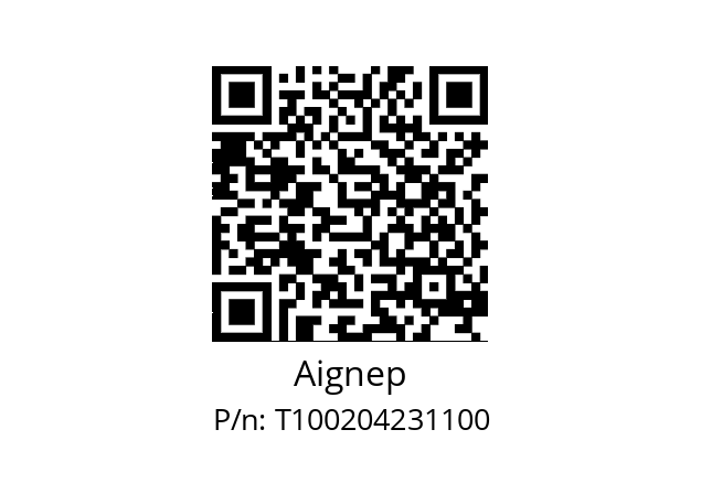   Aignep T100204231100