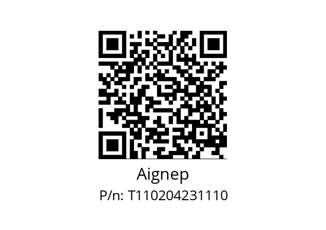   Aignep T110204231110