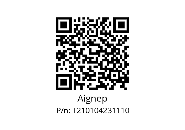   Aignep T210104231110