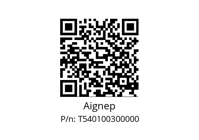   Aignep T540100300000