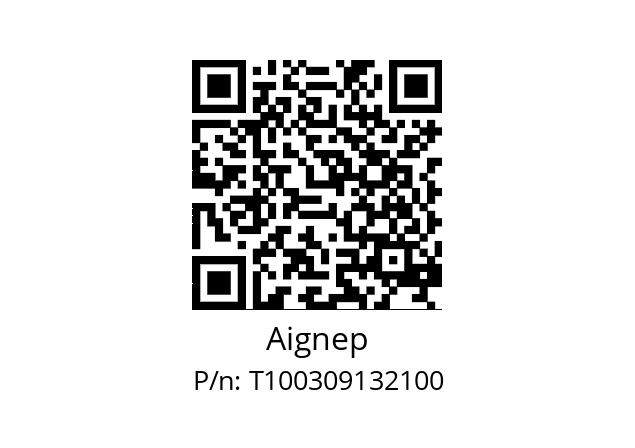   Aignep T100309132100