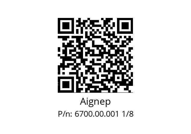   Aignep 6700.00.001 1/8