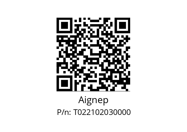   Aignep T022102030000