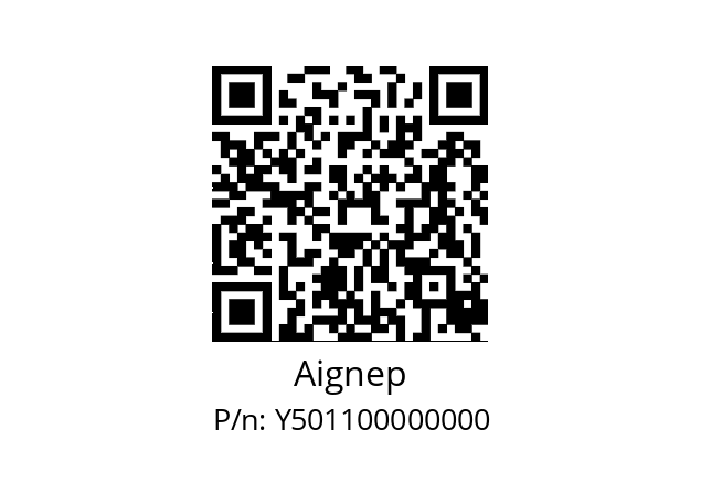   Aignep Y501100000000