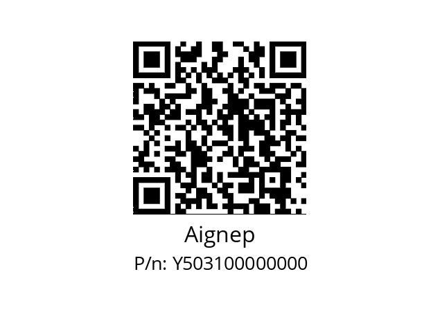   Aignep Y503100000000