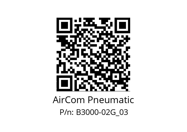   AirCom Pneumatic B3000-02G_03