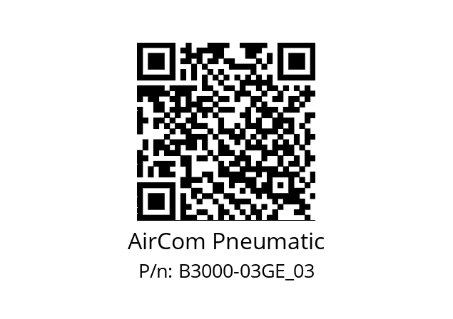   AirCom Pneumatic B3000-03GE_03