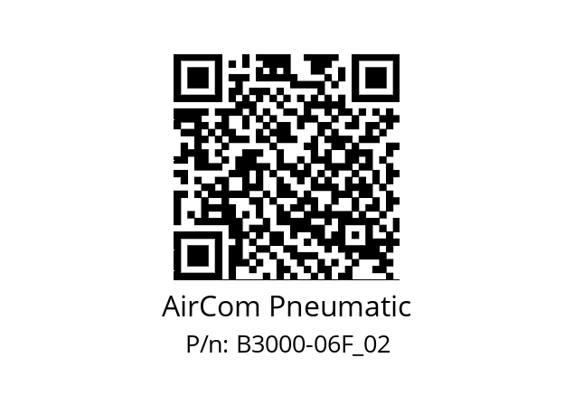   AirCom Pneumatic B3000-06F_02