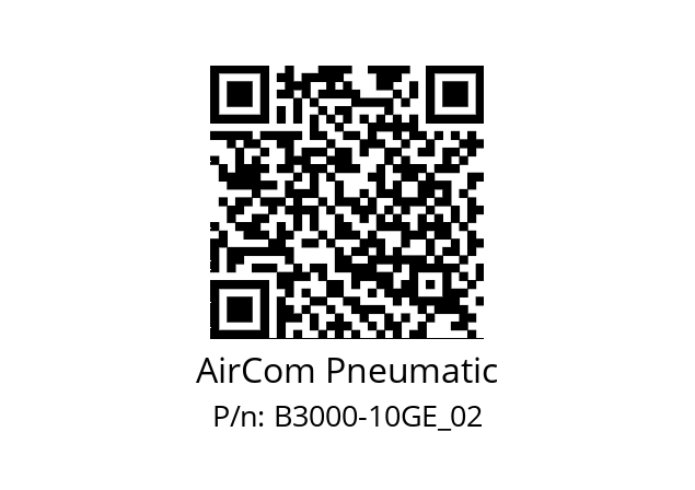   AirCom Pneumatic B3000-10GE_02