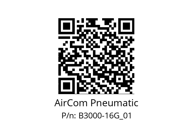   AirCom Pneumatic B3000-16G_01