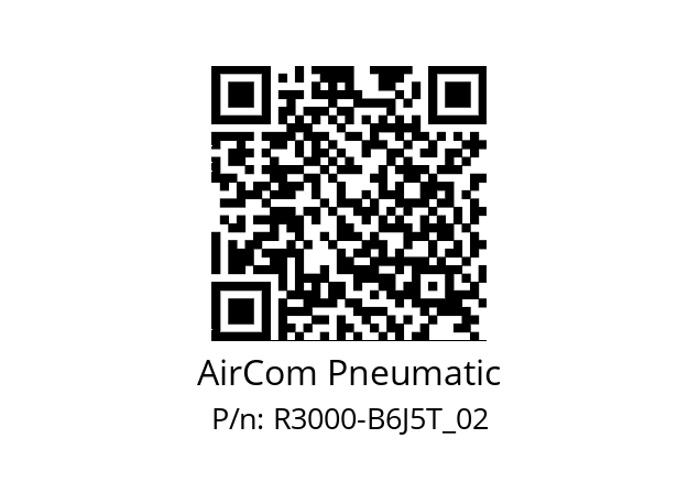   AirCom Pneumatic R3000-B6J5T_02