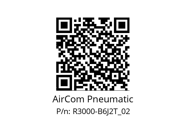   AirCom Pneumatic R3000-B6J2T_02