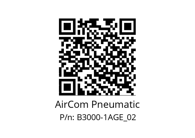   AirCom Pneumatic B3000-1AGE_02