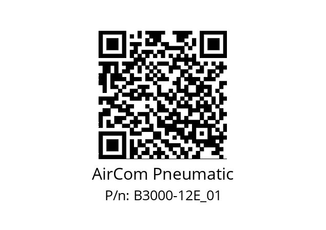   AirCom Pneumatic B3000-12E_01