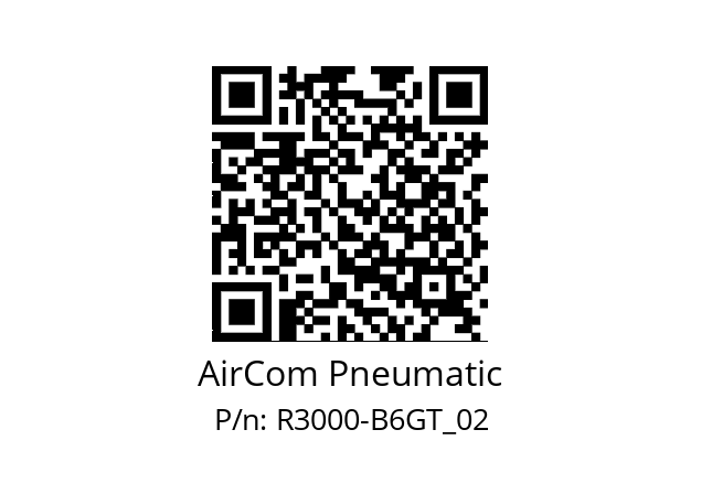   AirCom Pneumatic R3000-B6GT_02