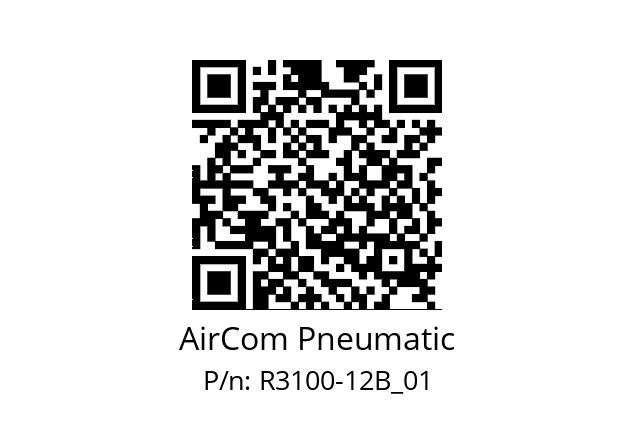   AirCom Pneumatic R3100-12B_01