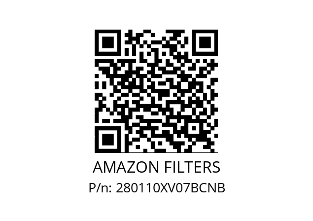   AMAZON FILTERS 280110XV07BCNB