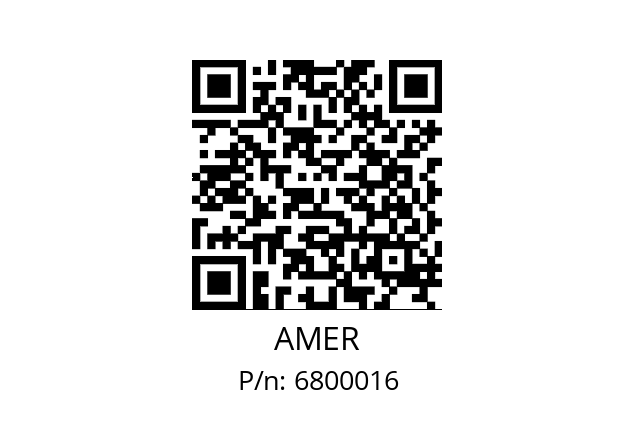   AMER 6800016