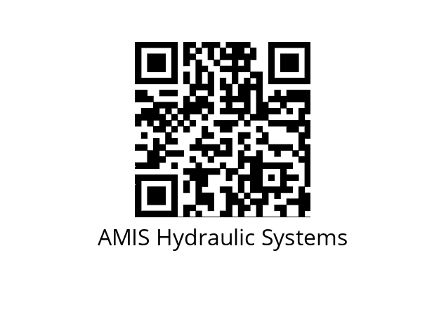  DN 40 AMIS Hydraulic Systems 