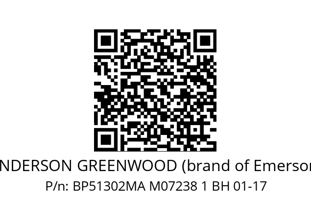   ANDERSON GREENWOOD (brand of Emerson) BP51302MA M07238 1 BH 01-17