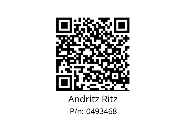   Andritz Ritz 0493468