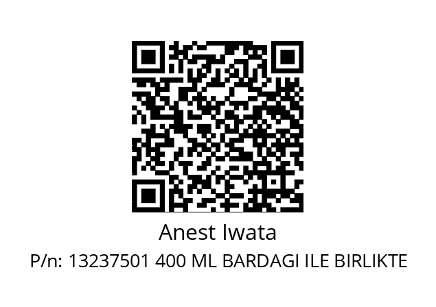   Anest Iwata 13237501 400 ML BARDAGI ILE BIRLIKTE