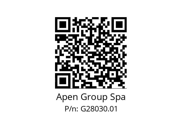   Apen Group Spa G28030.01