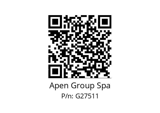   Apen Group Spa G27511