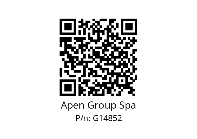   Apen Group Spa G14852