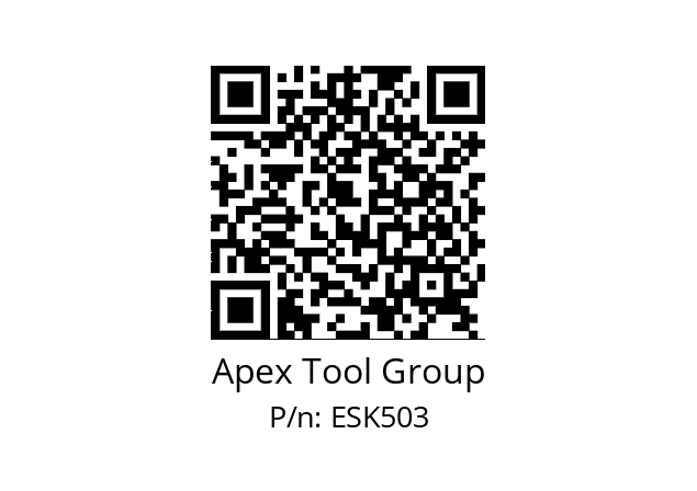   Apex Tool Group ESK503