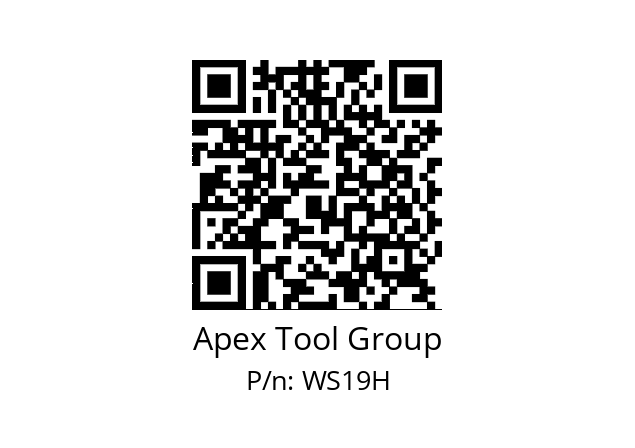   Apex Tool Group WS19H