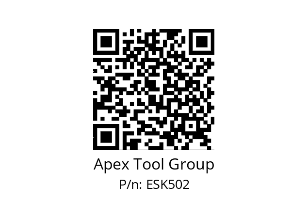   Apex Tool Group ESK502