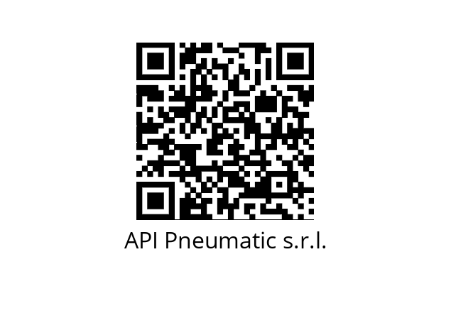  PM API Pneumatic s.r.l. 