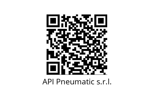  PTD API Pneumatic s.r.l. 