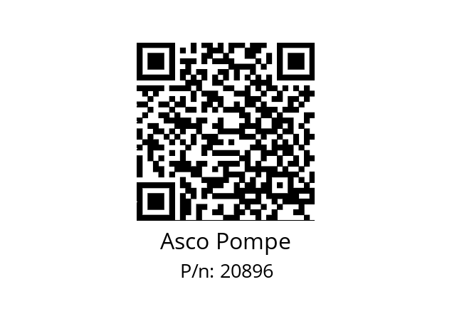   Asco Pompe 20896