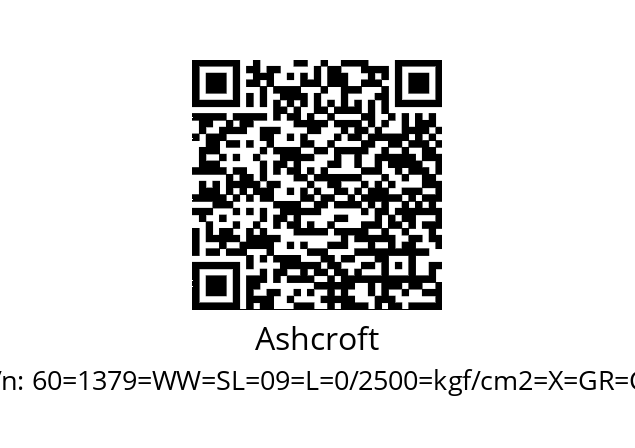   Ashcroft 60=1379=WW=SL=09=L=0/2500=kgf/cm2=Х=GR=С7